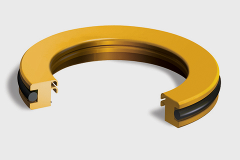 Rotary Seals